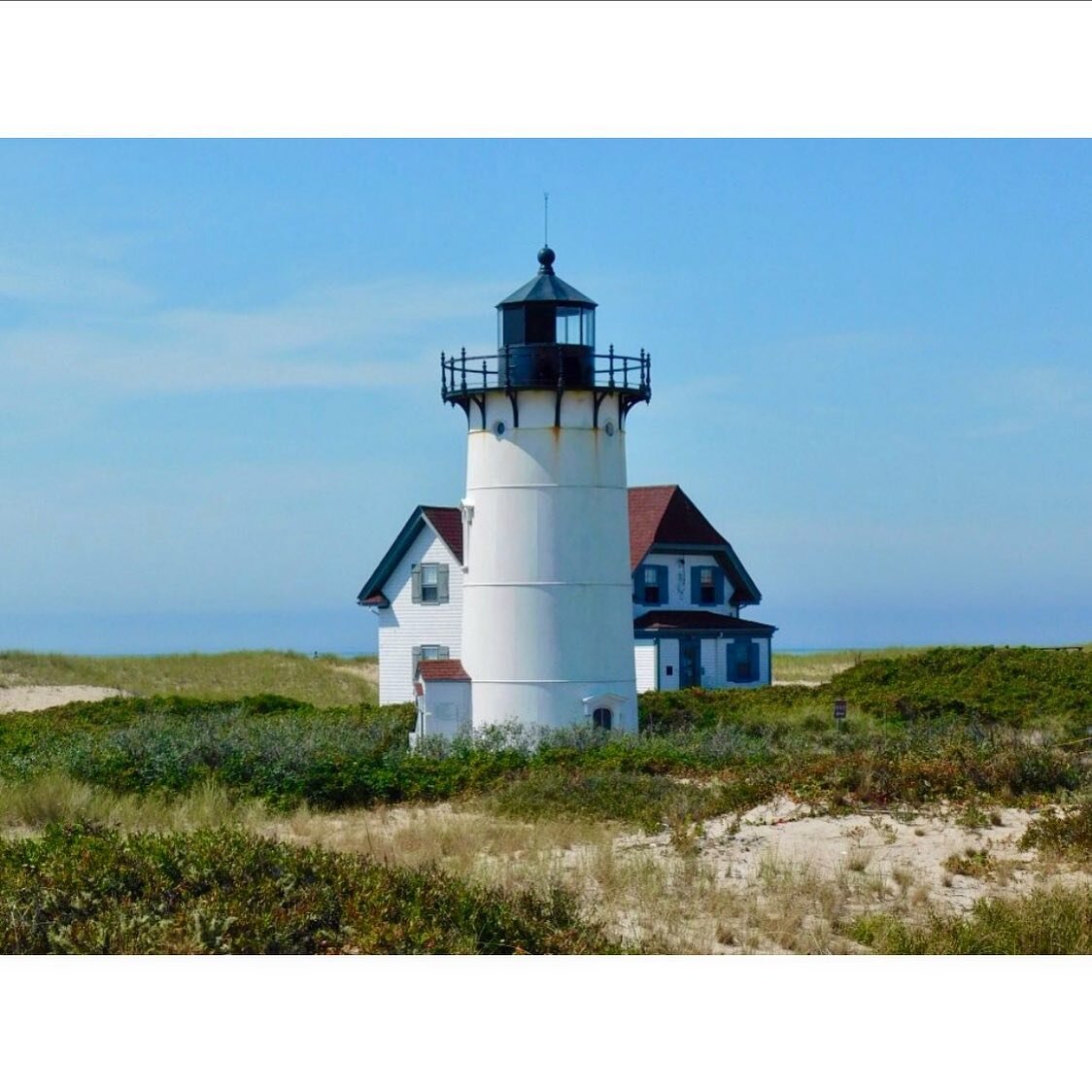 A trip to the northern tip of Cape Cod is a summer must. Here, the barren landscape is mercilessly exposed to the elements. Strong winds and ocean waves shape the aspect of this fragile, yet resilient, ecosystem. There is a magnetic beauty to this co