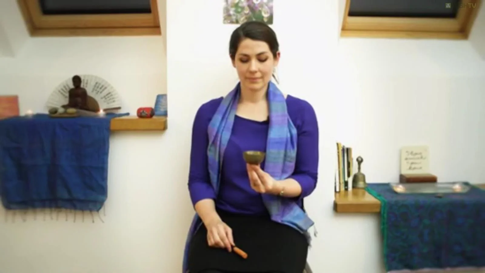 Blue Heron Mindfulness on TV!