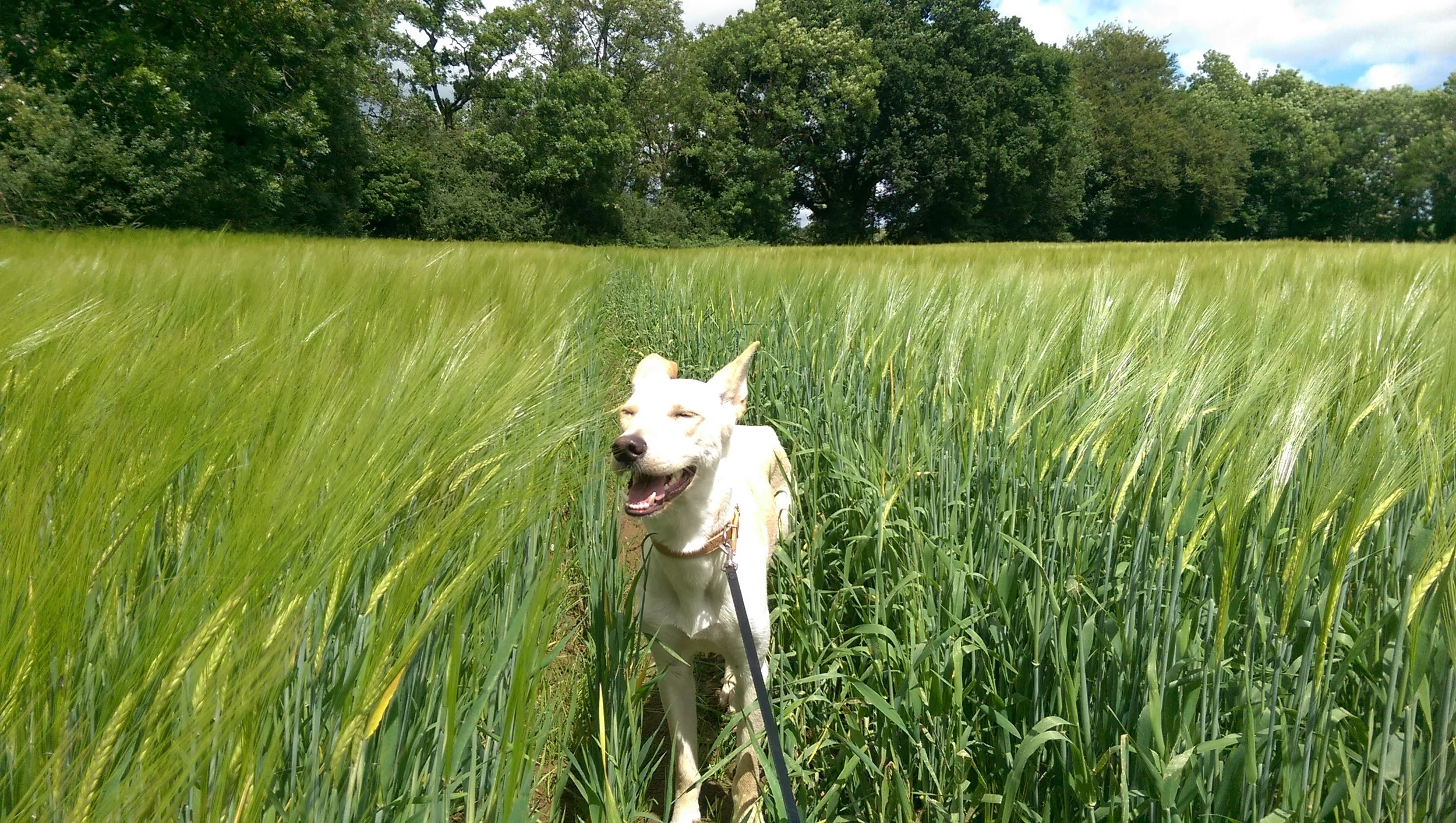 Luna enjoying her in-breath and out-breath!
