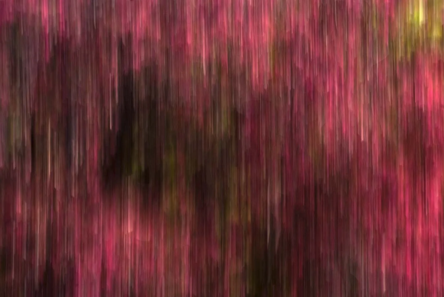 Spring.jpg