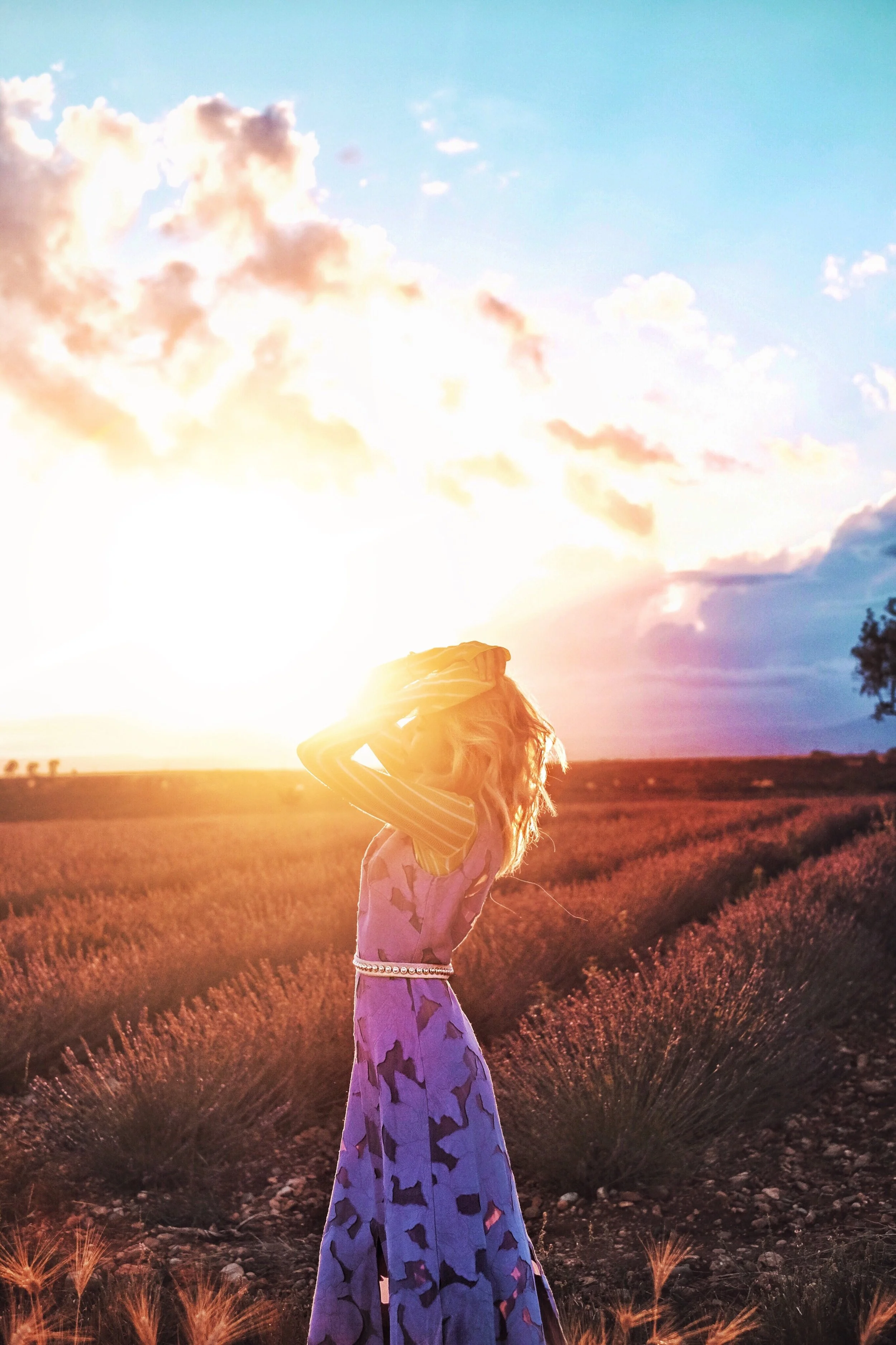 My Lux Lavender Love Story