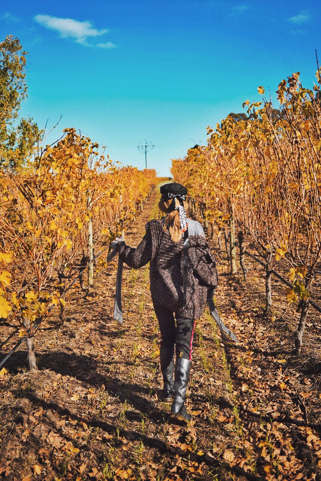 14. Wine Tasting.JPG