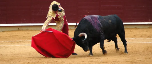 Reviewing Last Year?  Approach it Like a Bullfighter