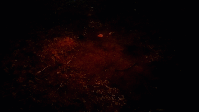 TS-FF_night-landing.gif