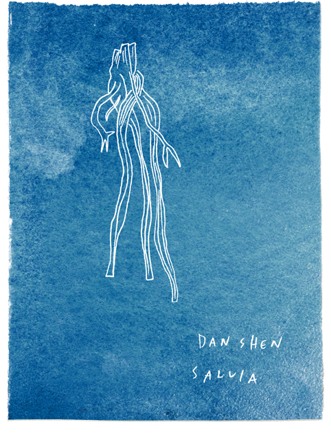 danshenblue.png