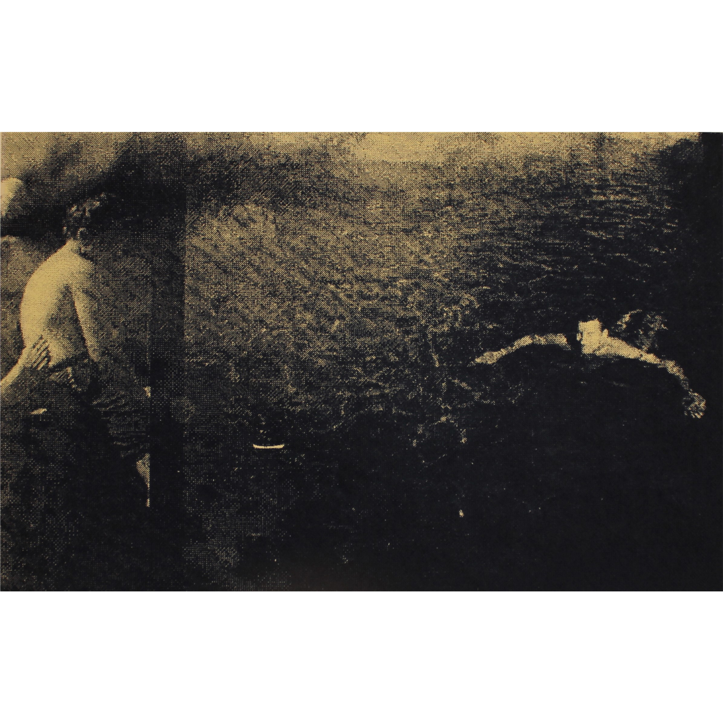 Jessica Palmer, Untitled, 2016, screenprint