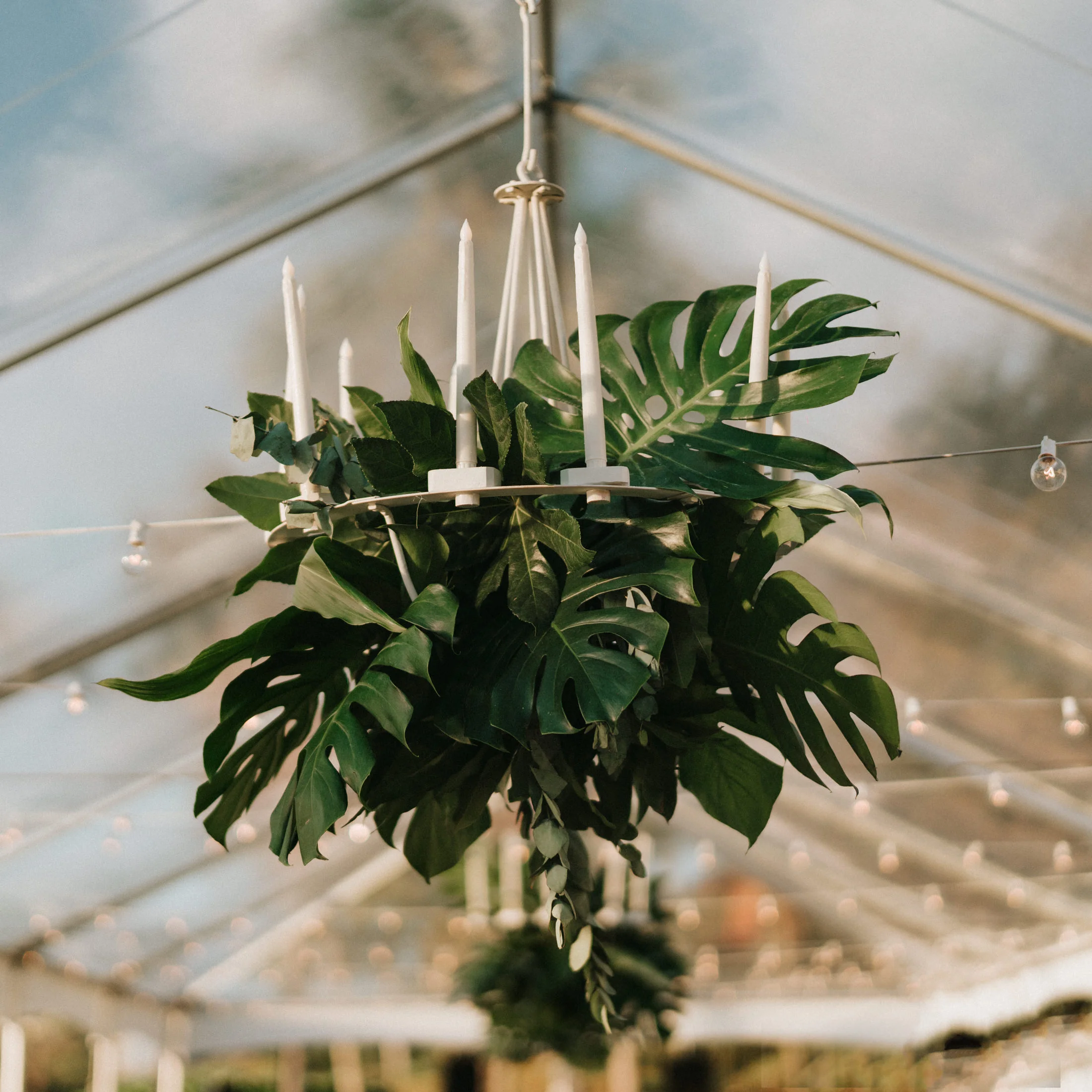candelabra-1.jpg
