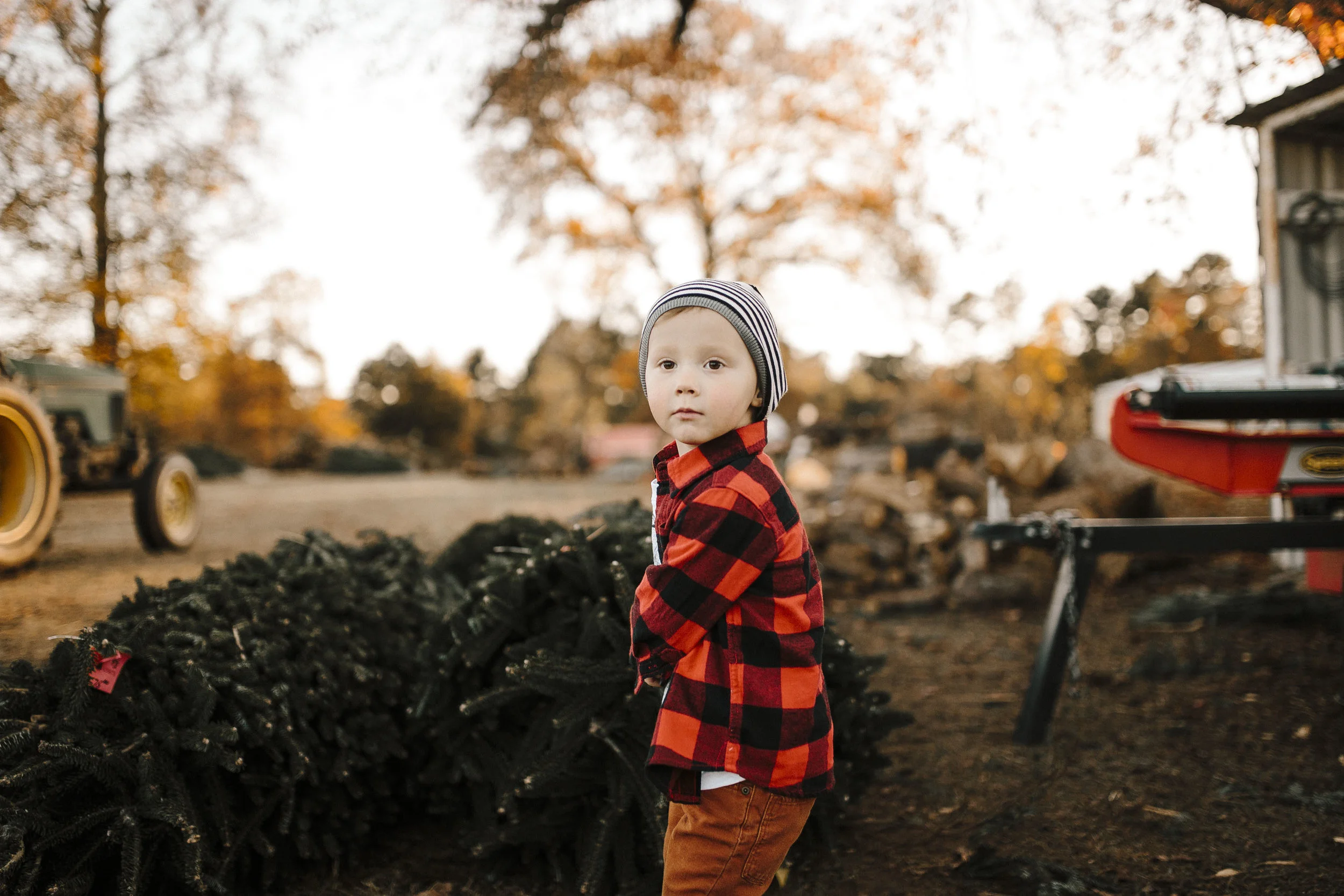 Documentary Family Photographer - LaBoyteaux Christmas Tree Committee