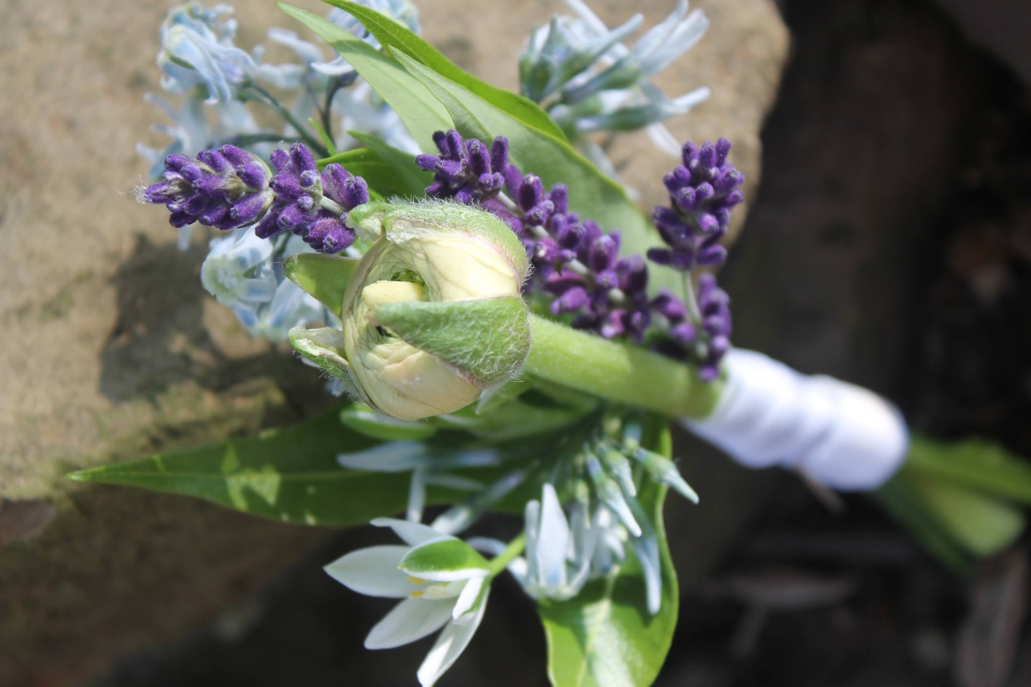 Prom Flowers, Studio Sprig