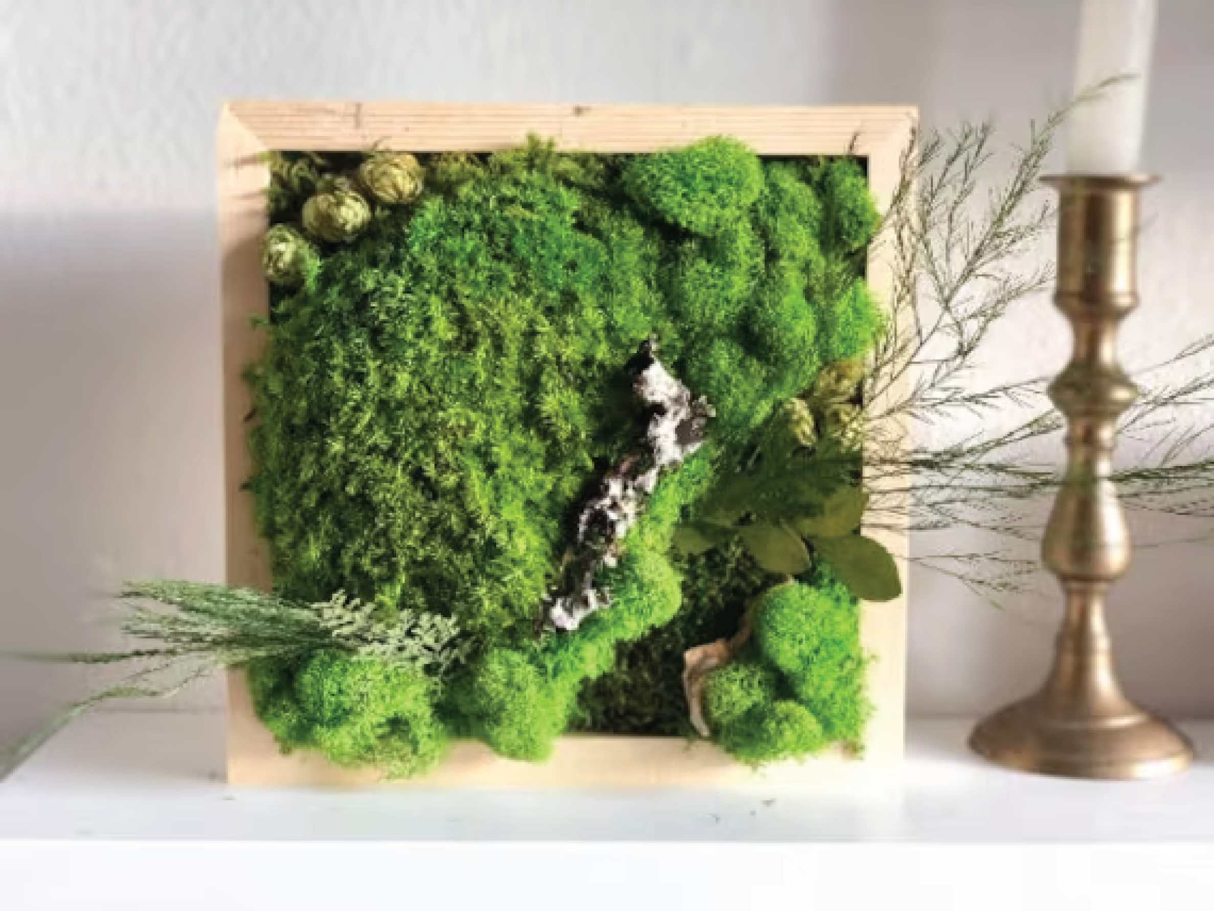Moss wall.png