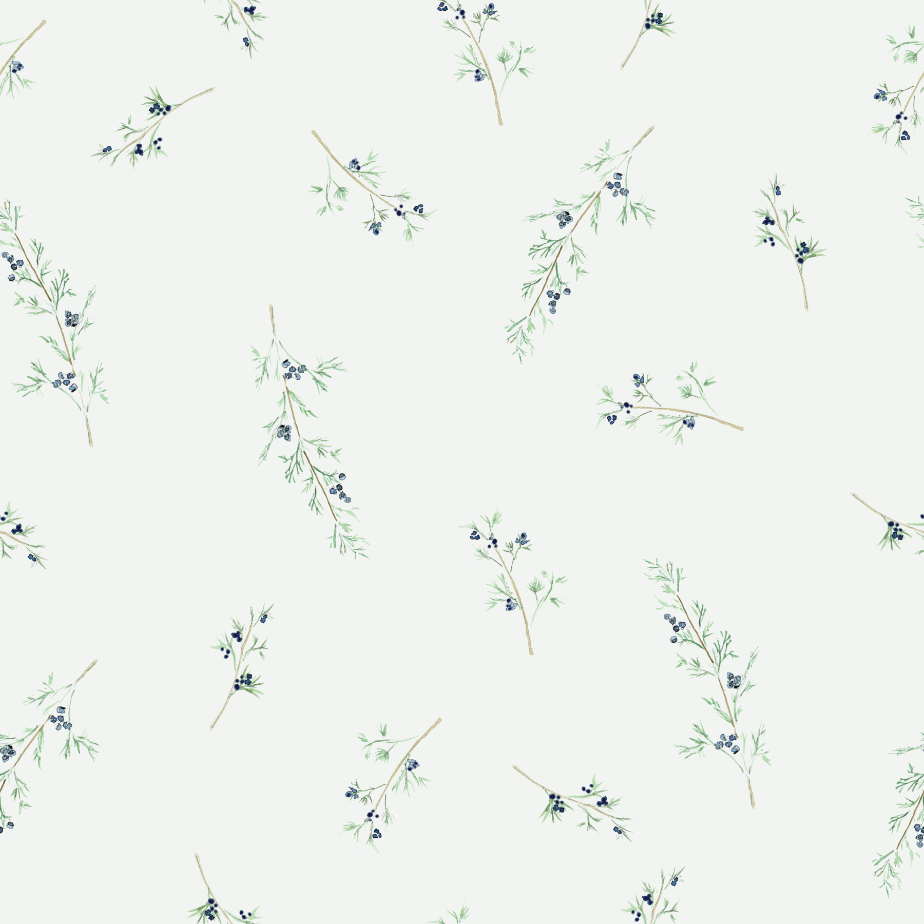 Juniper Berries on gray.png