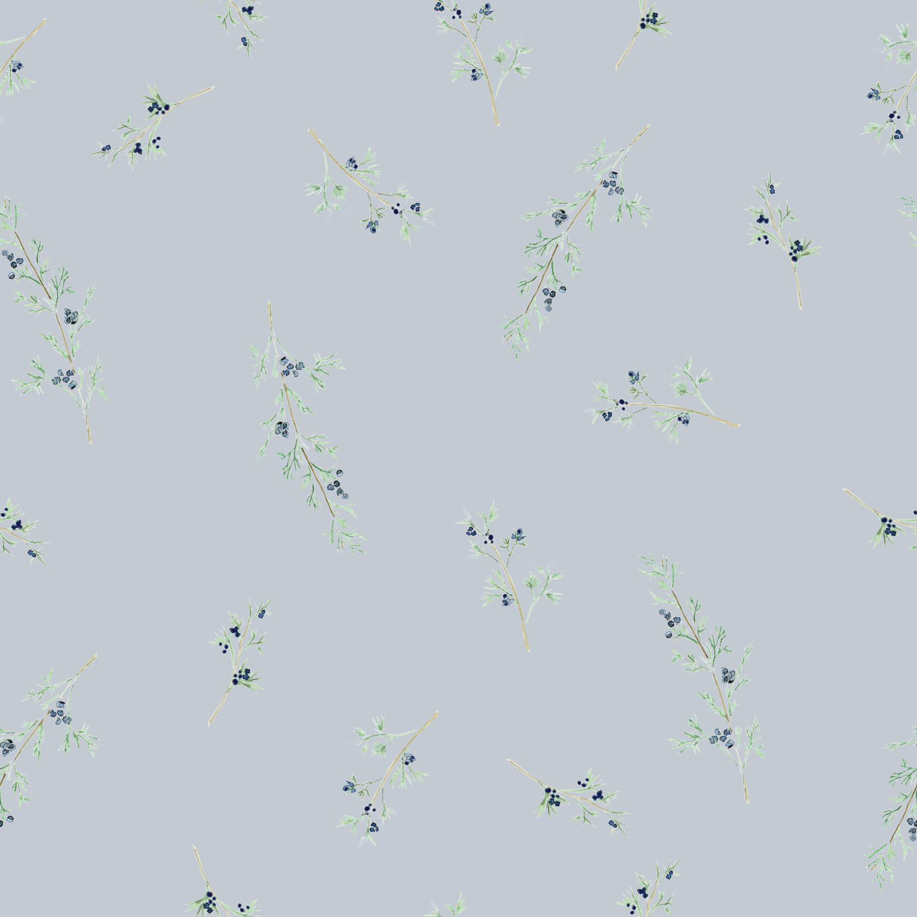 Juniper Berries on dust.png