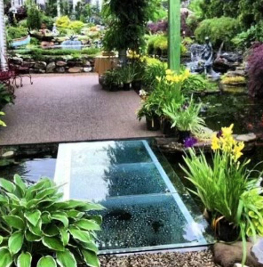 Glass Bridge over water featrues