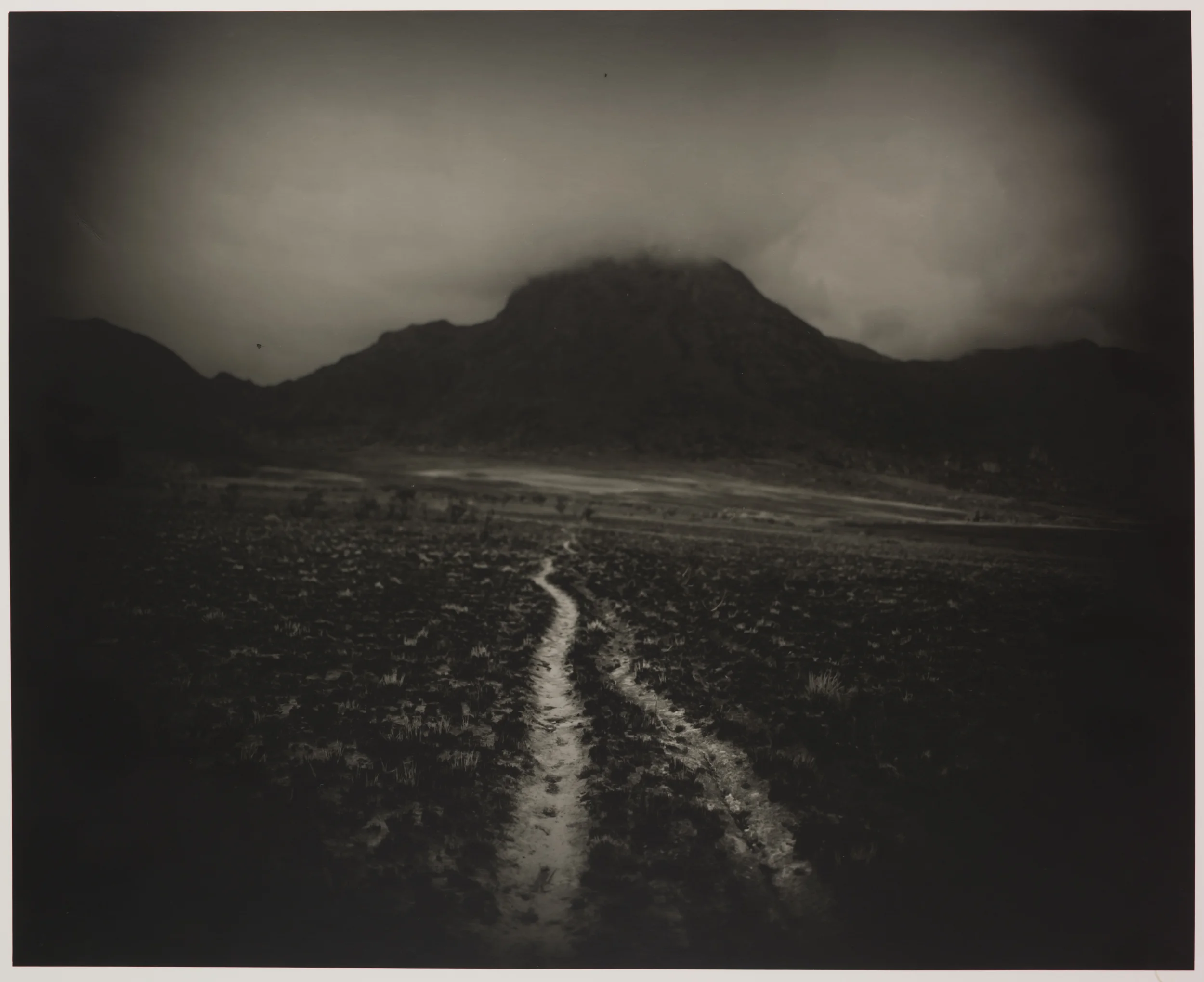 The Road Of The Old