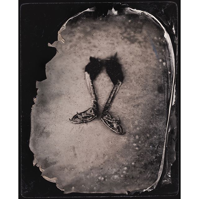 Processed my first plates in my darkbox - no fog and minimal hassle, just a little slower then usual. Finally, some field work! More to come... #alternativeprocess #collodion #mobiledarkroom #darkroom #wetplate #nofog #contemporaryafricanart