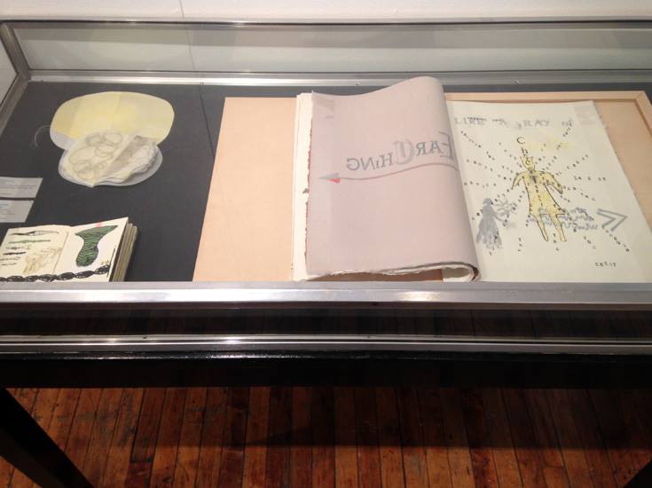 Installation view of Revealed Terrain: The Semantics of Landscape. Top left: "Cell Memory" by Macy Chadwick; bottom left: "Gravity (from Babblab series)" by Henrik Drescher and Wu Wing Yee; right: "I Had a Blueprint of History" by Lesley Dill.