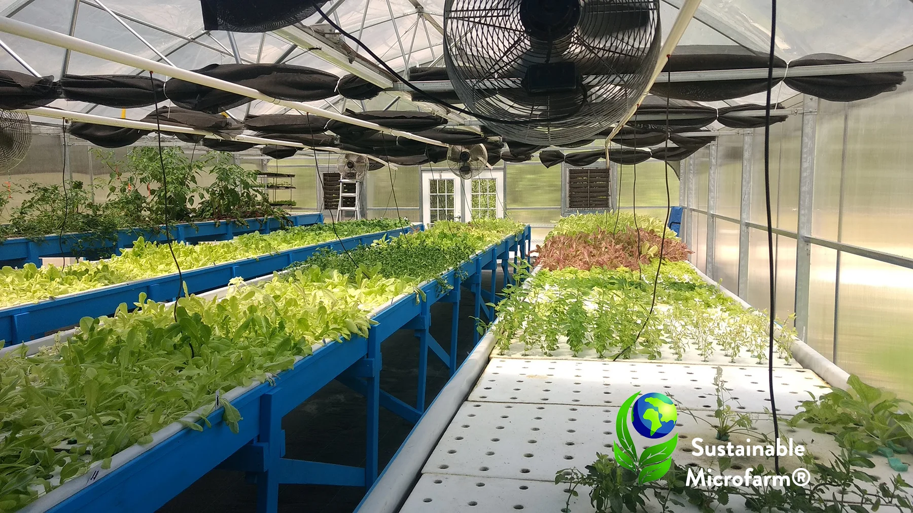 Greenhouse.jpg