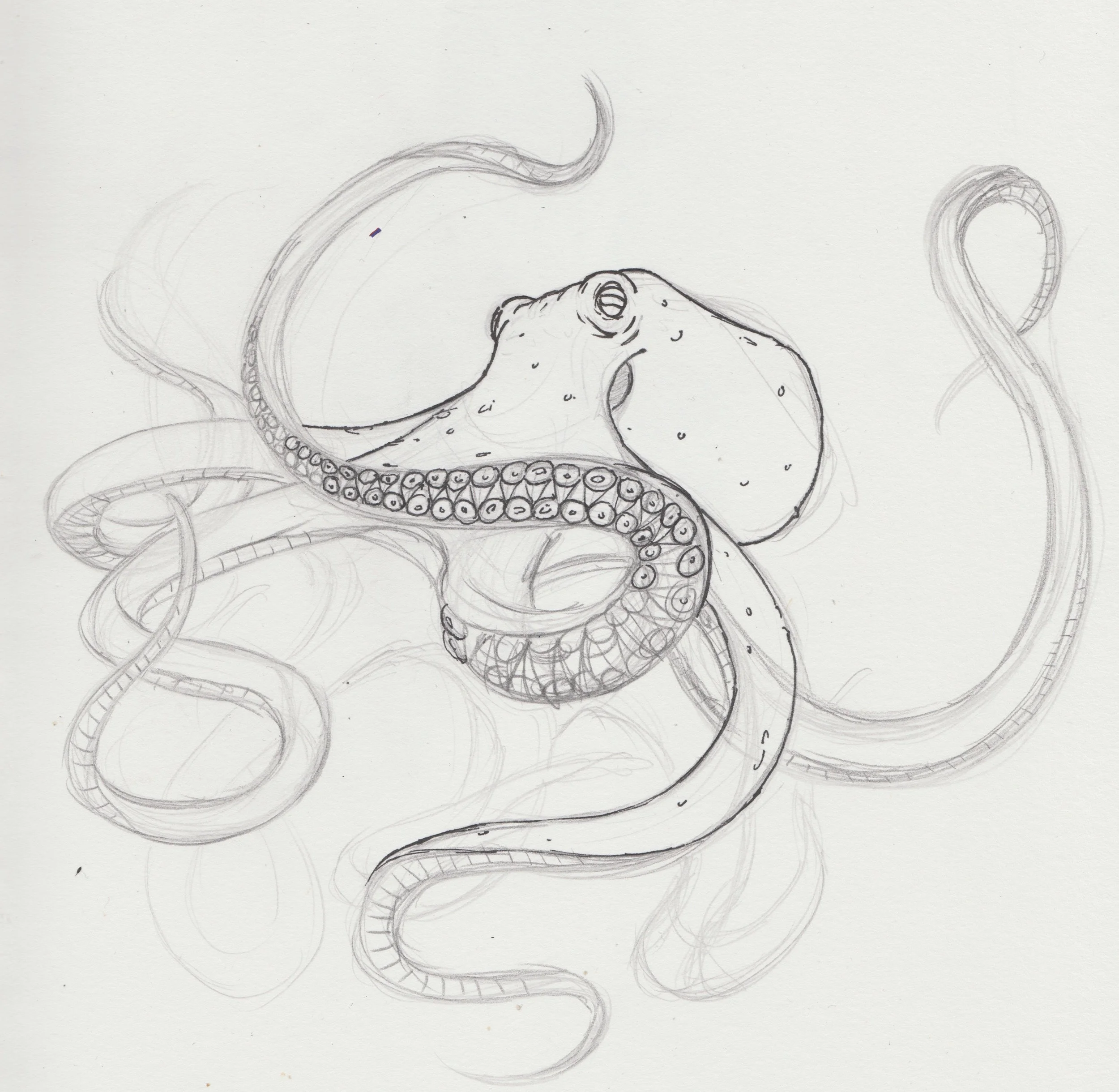 sketch 1.jpeg