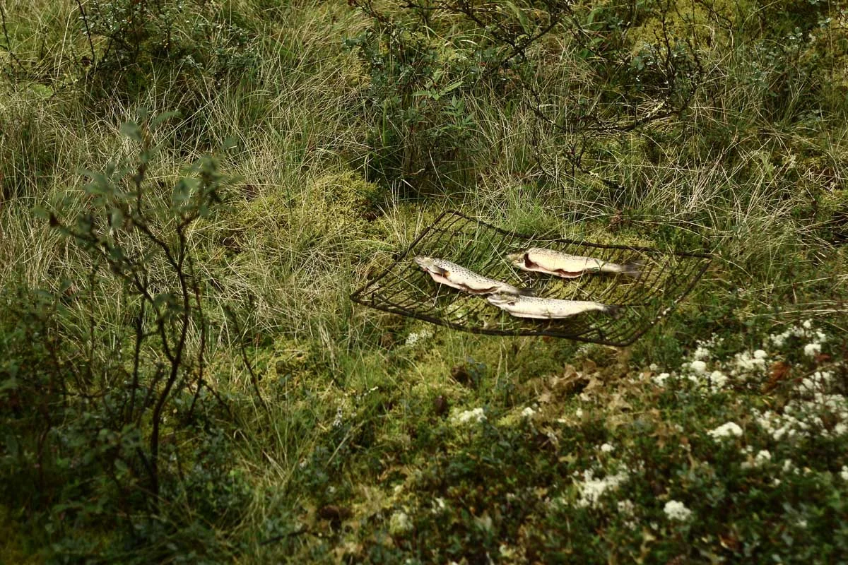 Briceportolano_Norvay_Site_0382.jpg