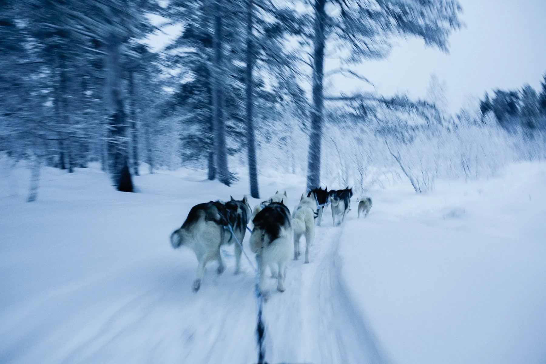 Briceportolano_Finland_04.jpg