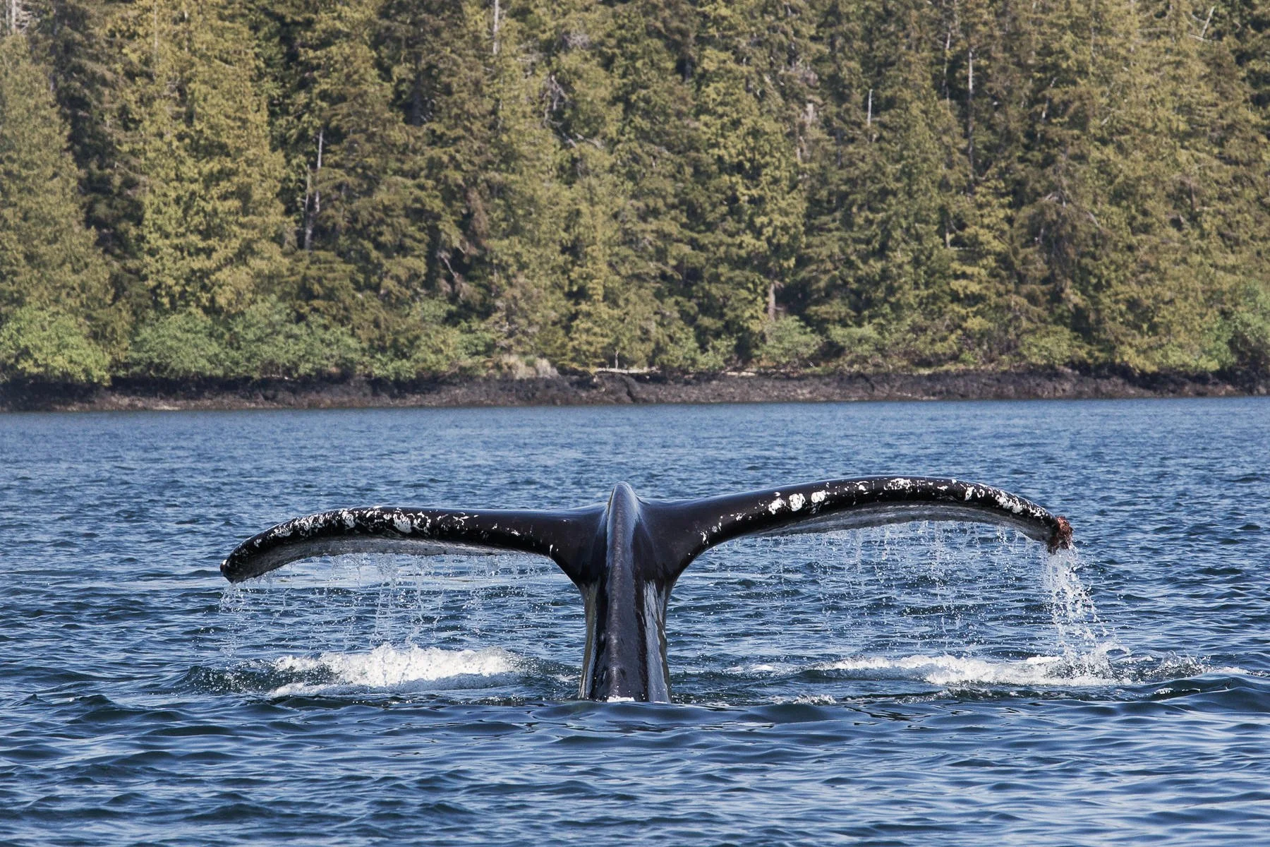 23Briceportolano_Alaska_HD_18.jpg
