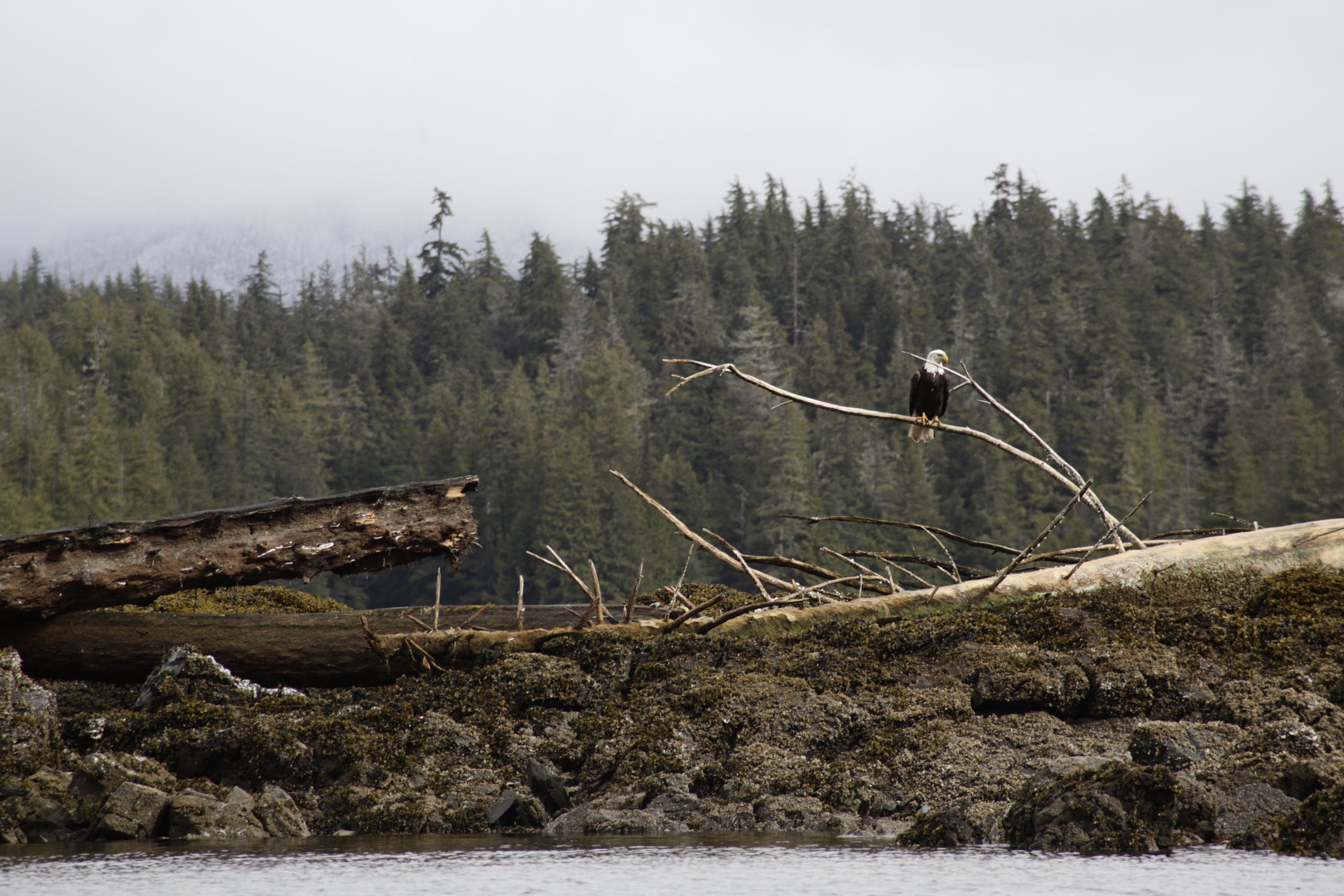 _MG_7653.JPG