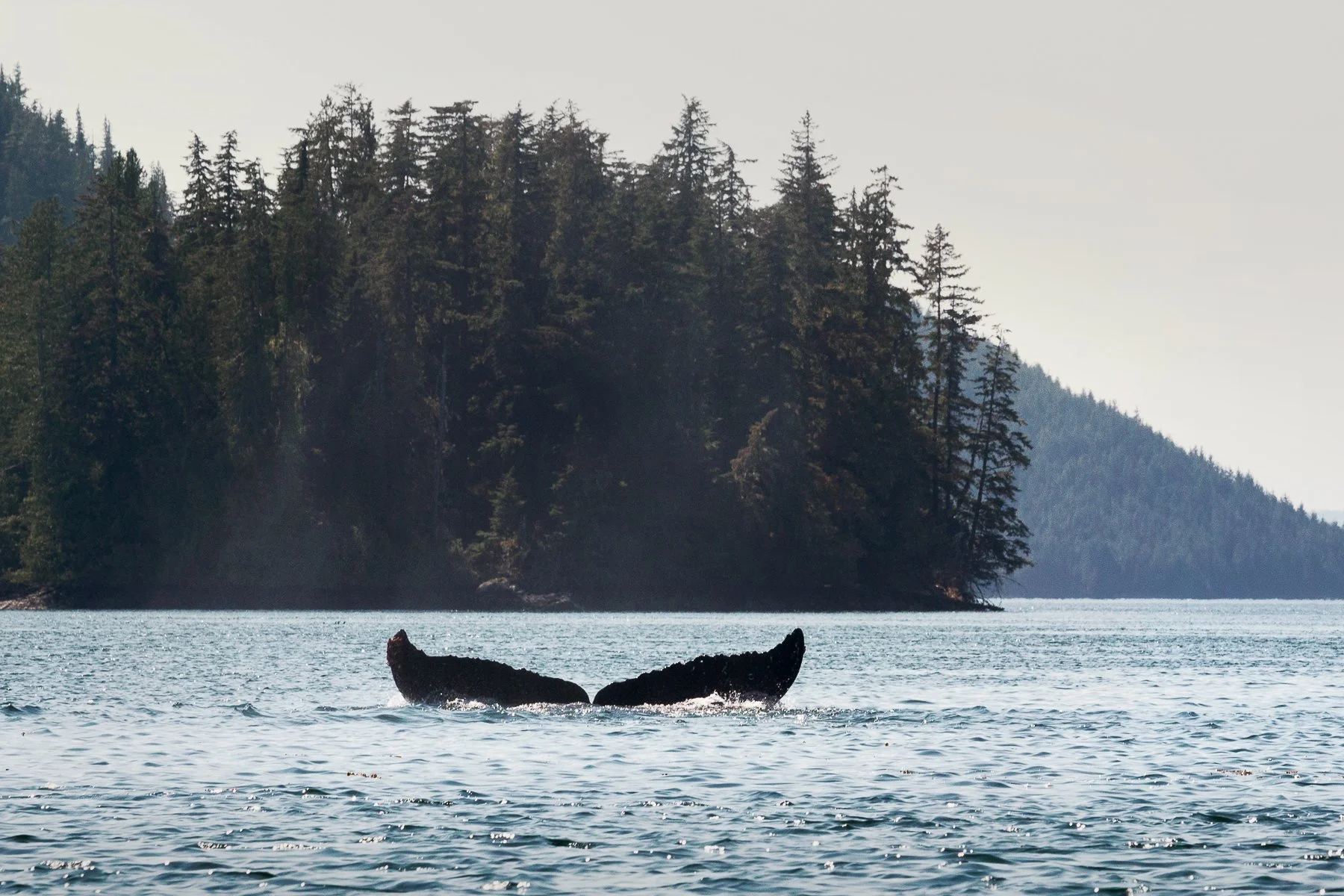 Briceportolano_ALASKA_WEB_16.jpg
