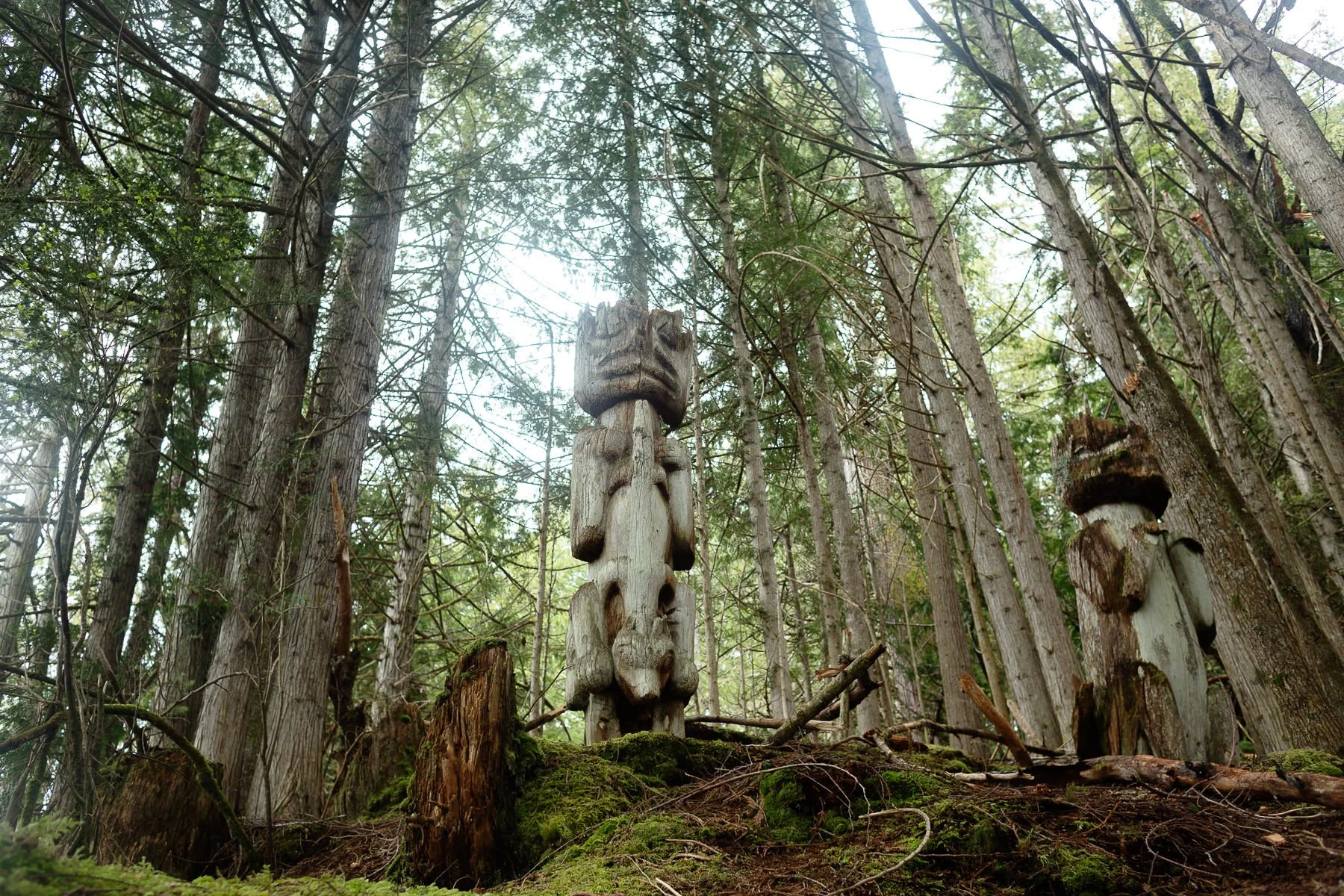 Briceportolano_ALASKA_WEB_02.jpg