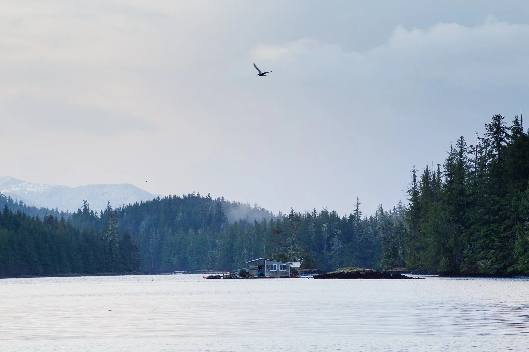 Briceportolano_ALASKA_WEB_01.jpg