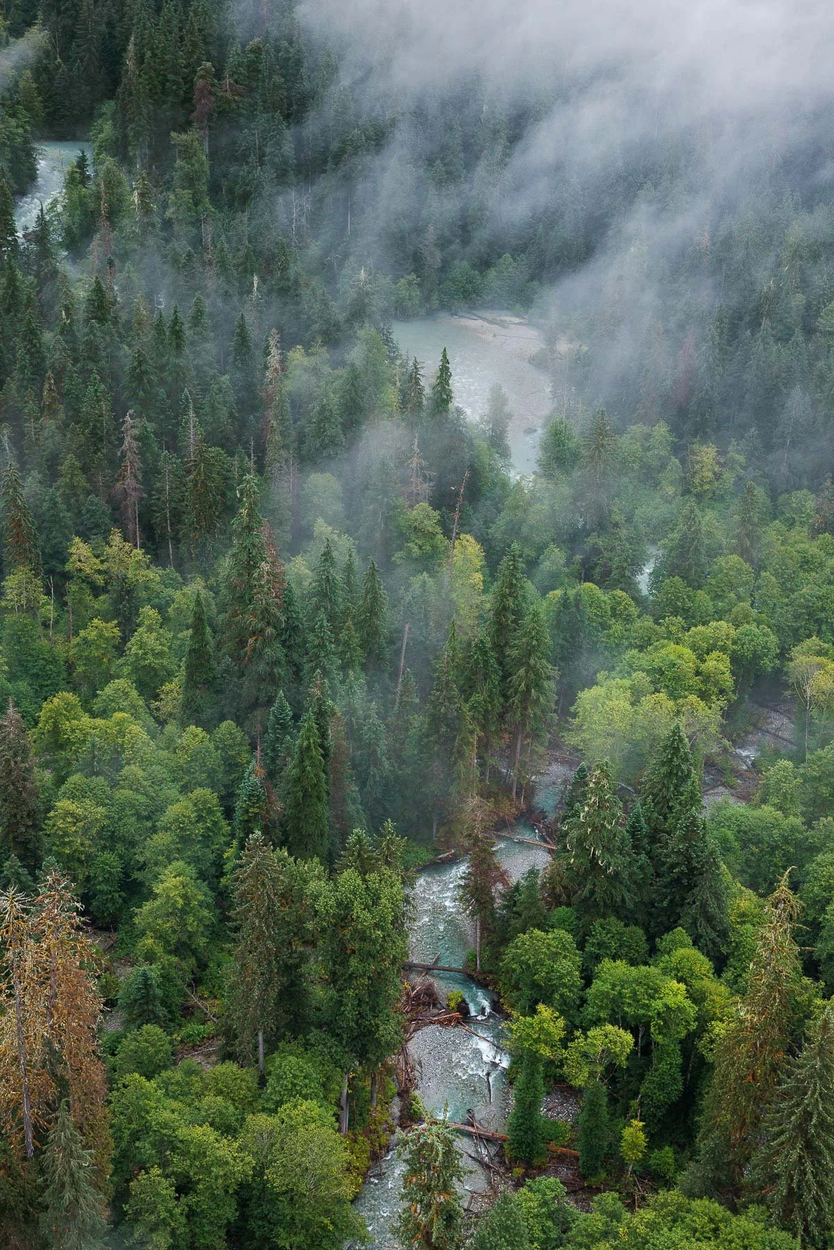 Briceportolano_Fawn_Bluff_5294_Site.jpg