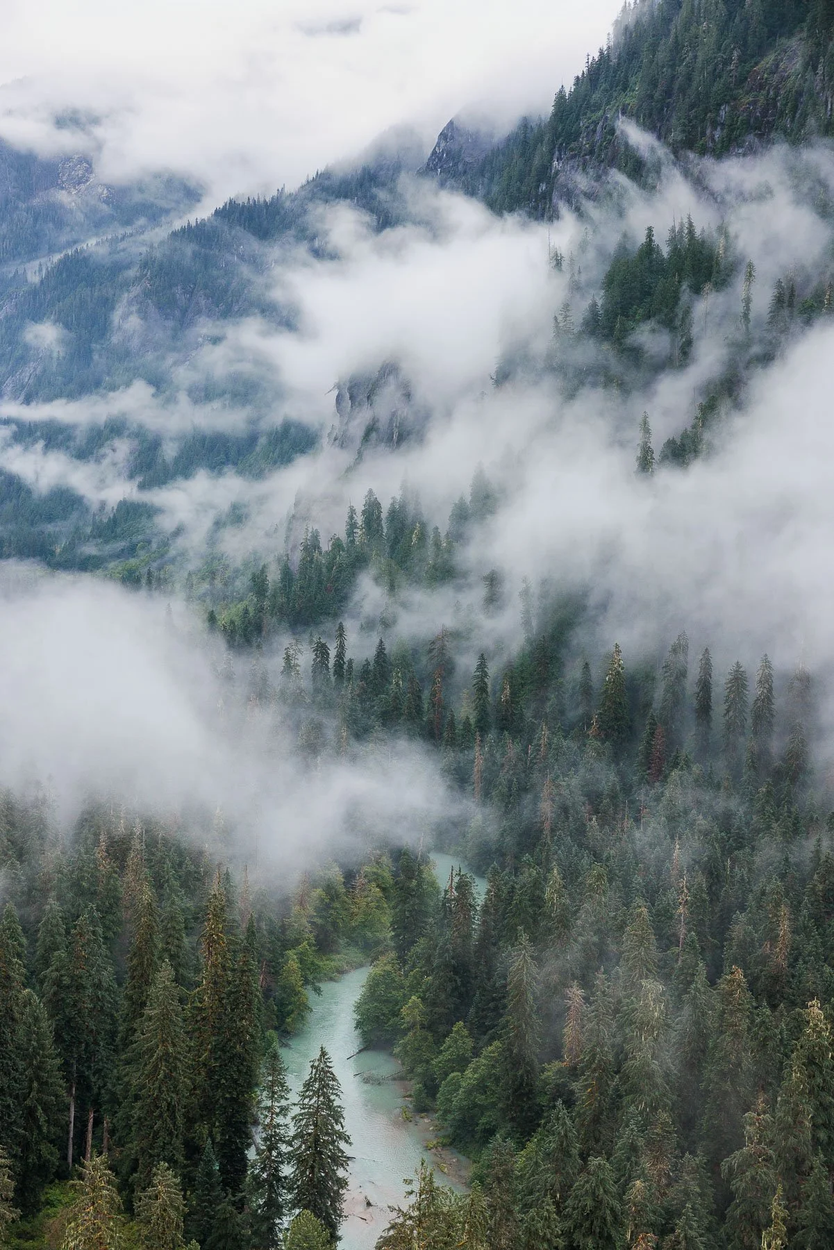 Briceportolano_Fawn_Bluff_5310_Site.jpg
