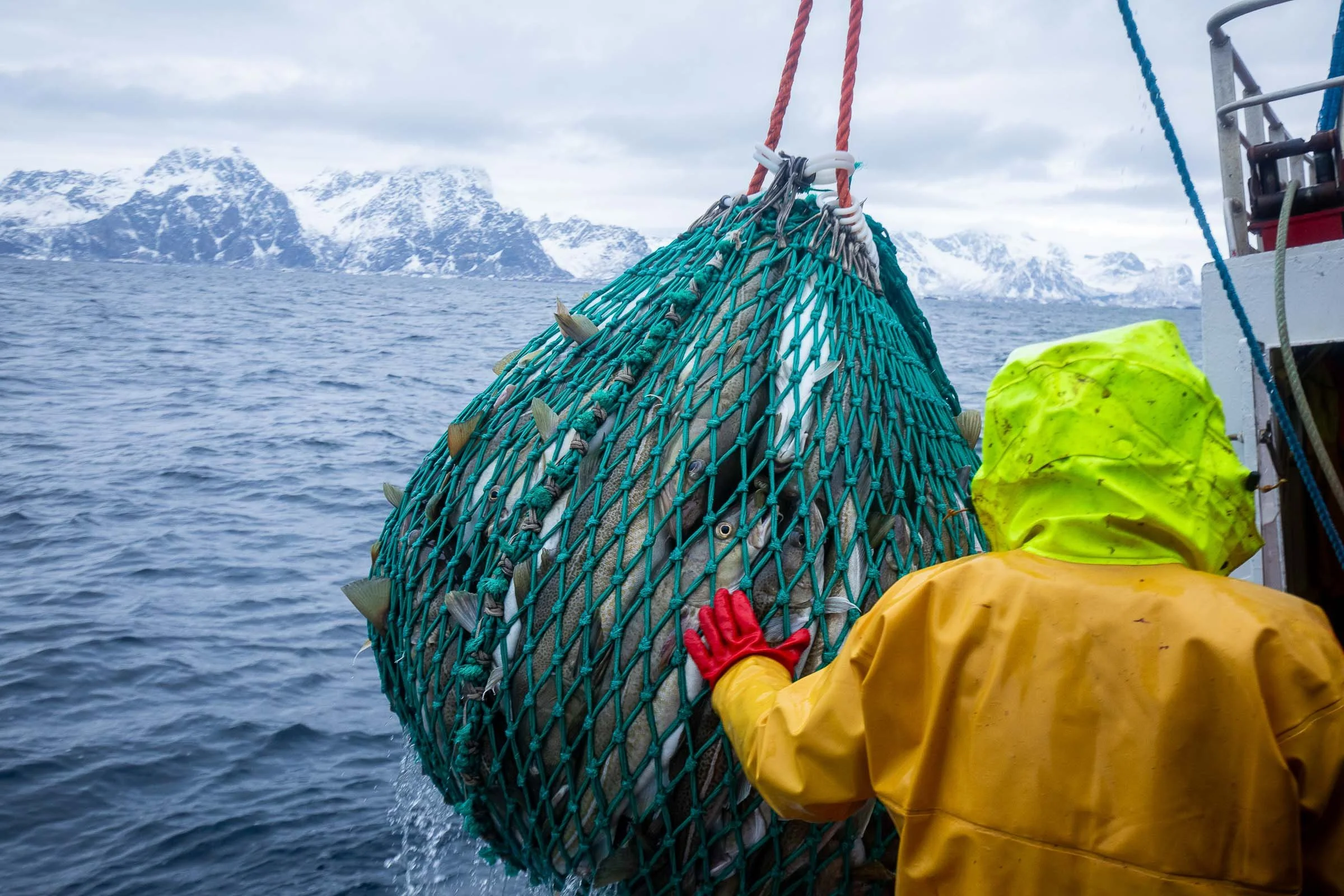 Norway_Feb_2018_6664_Site.jpg