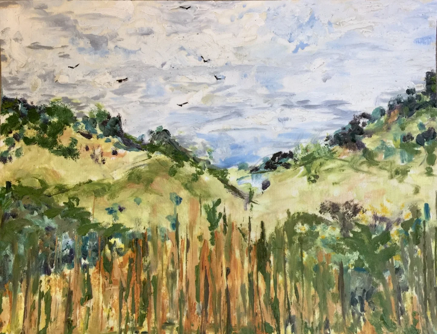 Turkey Vultures, 15 3/4" x 11 3/4"