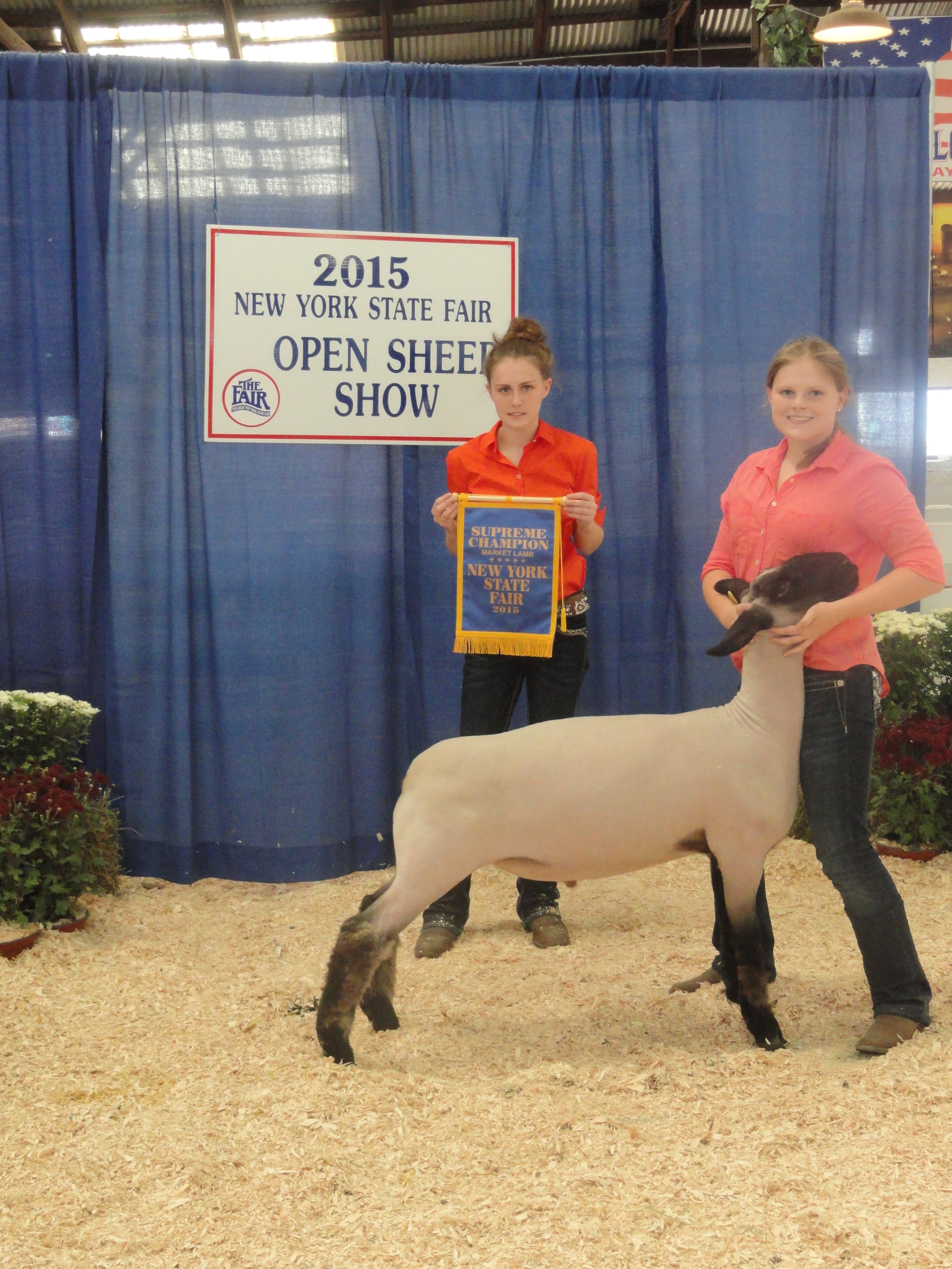 NYS Champion Market Lamb.JPG