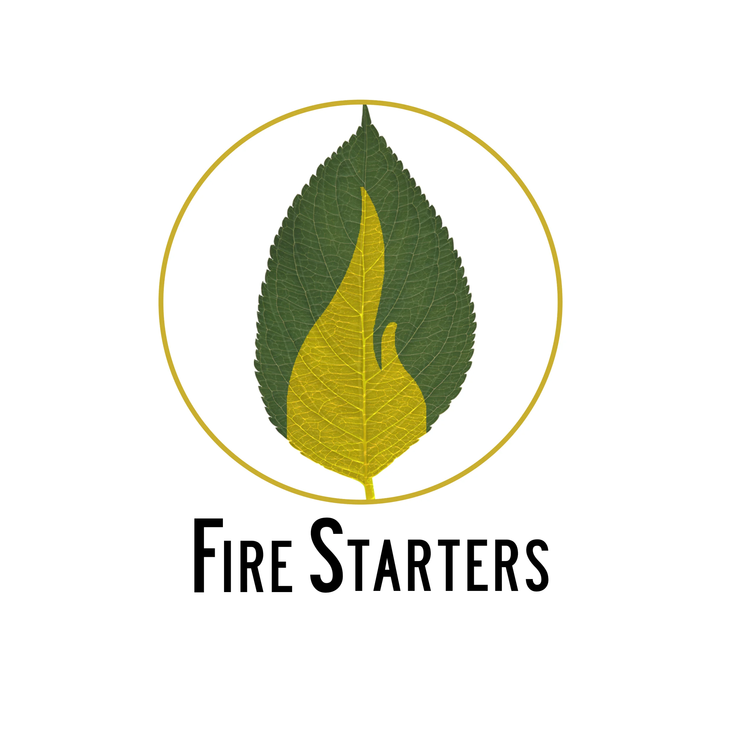 FS Logos+.jpg