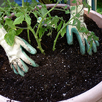 Montessori U: Food Empathy