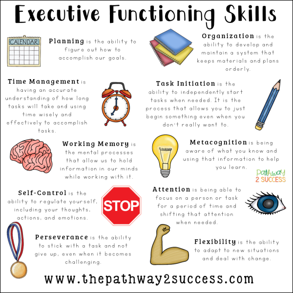 Executive Function Skills
