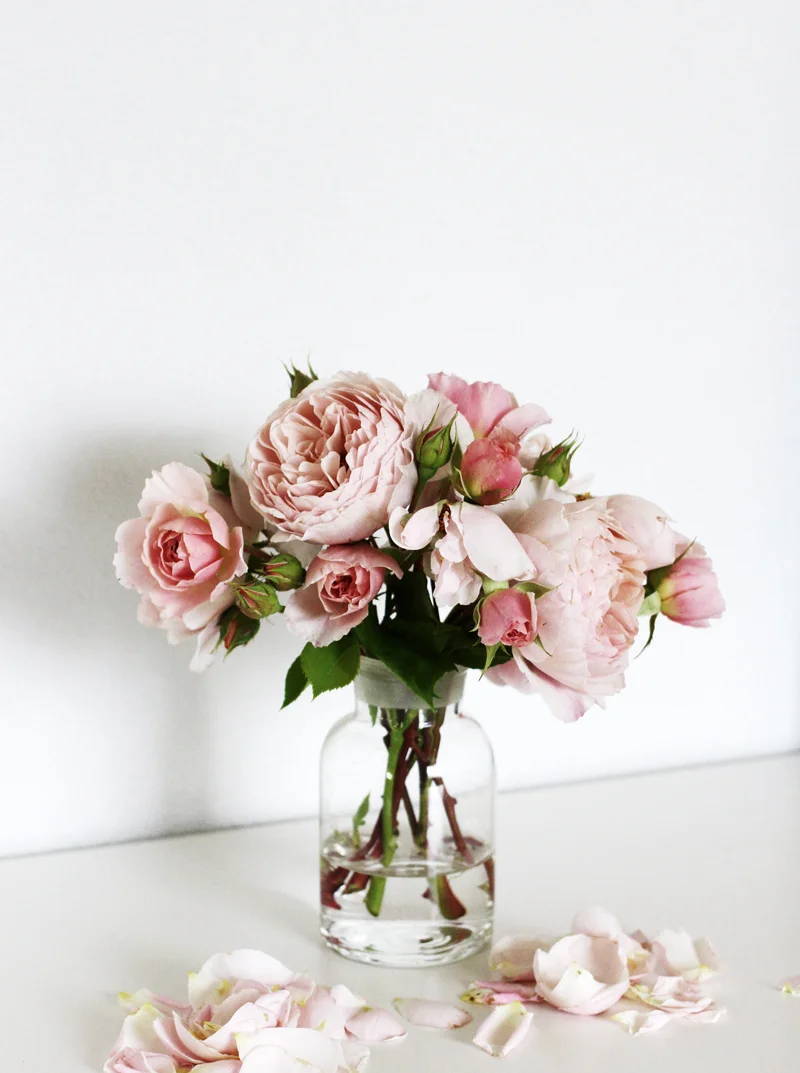 tumblr_mo4dm94B201qlk9o4o1_1280.jpg
