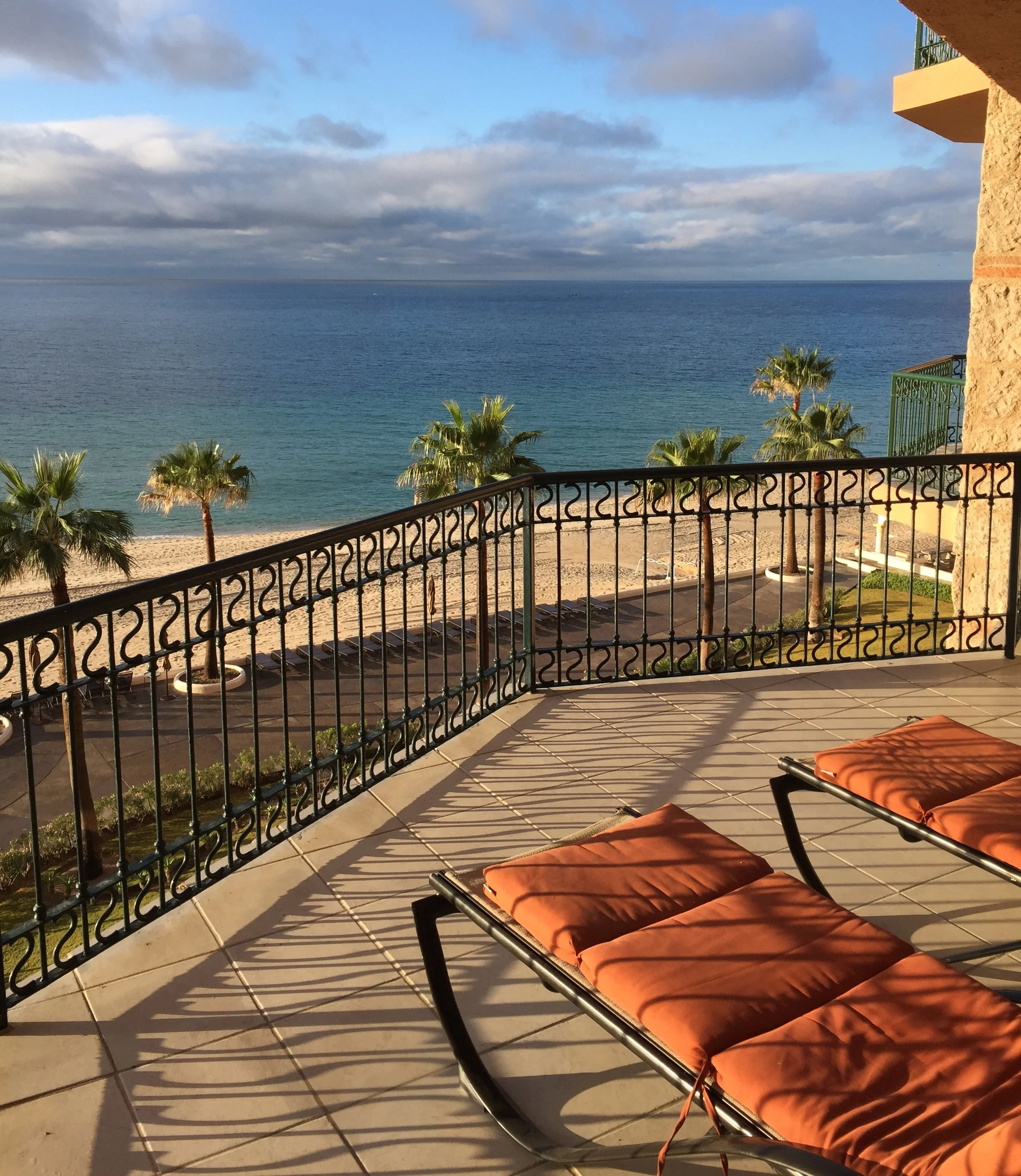 Copy of The Sonoran Sea Resort