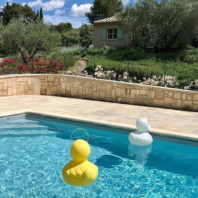 Here&rsquo;s one from our community/family &ldquo;Happy Duck Duck lamps dancing in the breeze&rdquo; @mila.goldberg .
.
.
.
.
.
.
.
.
#theduckducklamp #pool #outdoorlamp #goodnightlight #markenewton #evanewton #pooldesign
