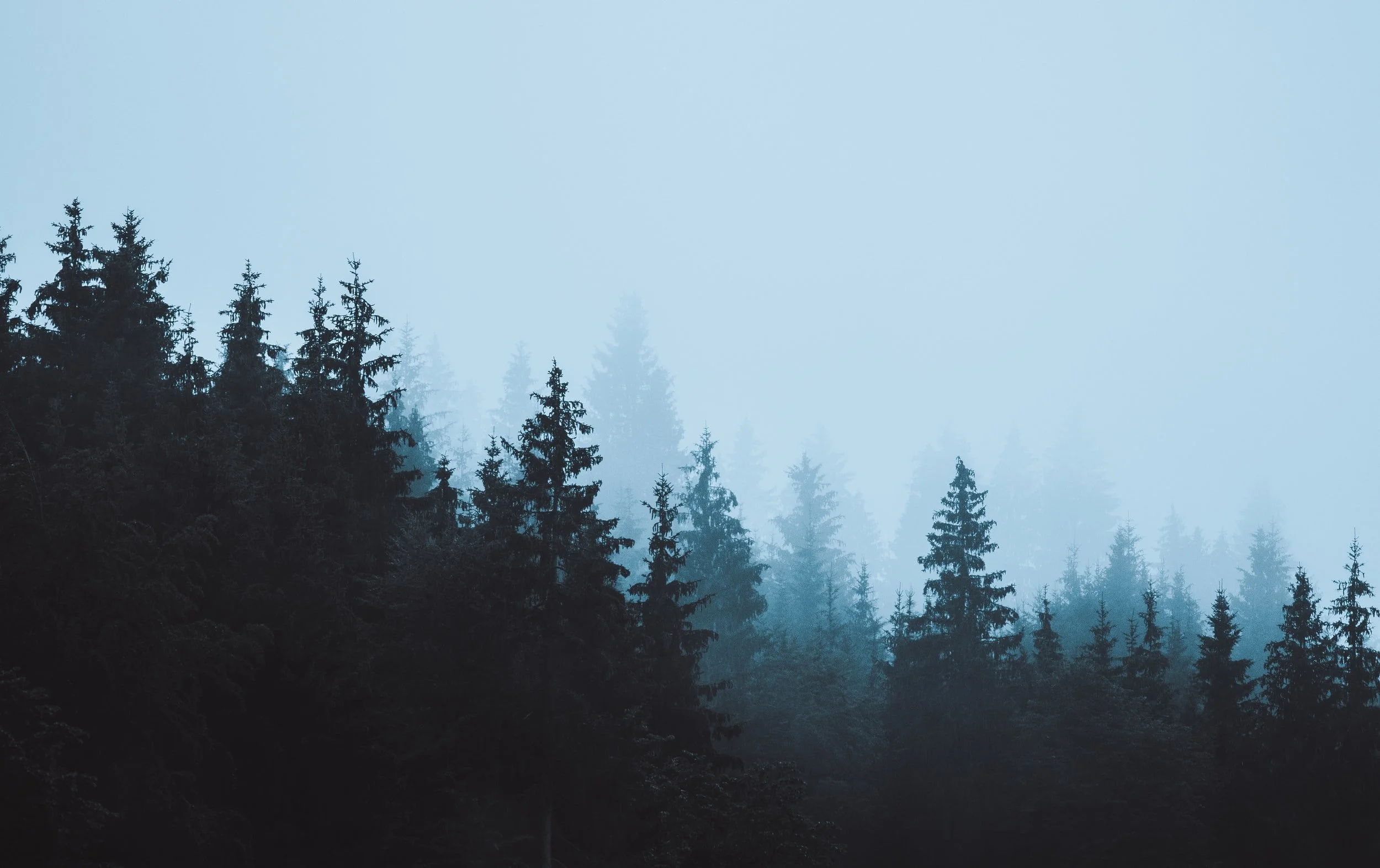 unsplash-image-1-Q3MudbHvY.jpg