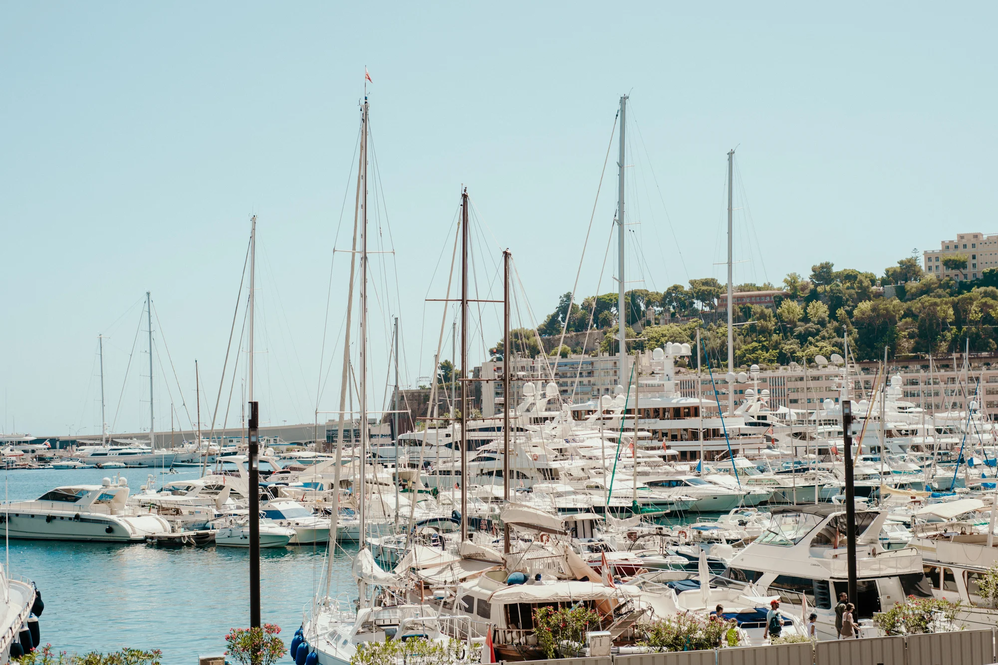 JLMonaco-2.jpg