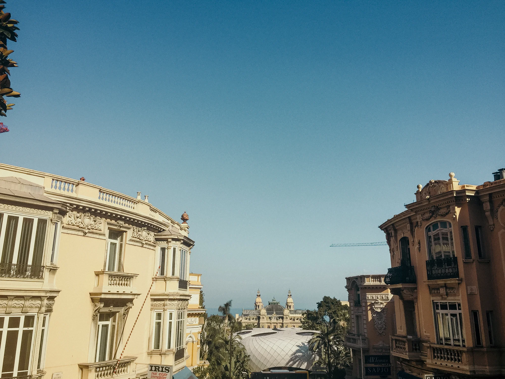 JLMonaco-45.jpg
