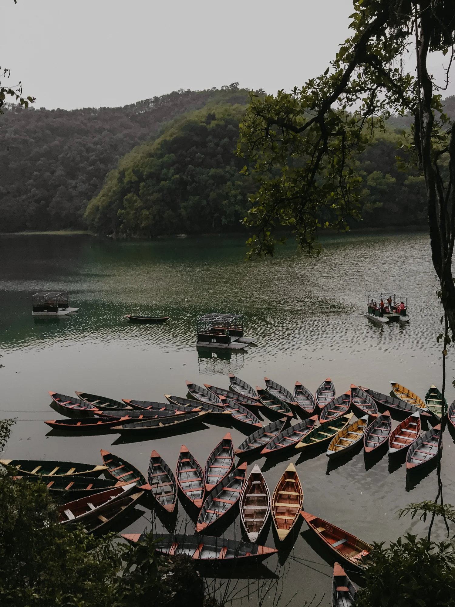 Nepal_JL_-5.jpg