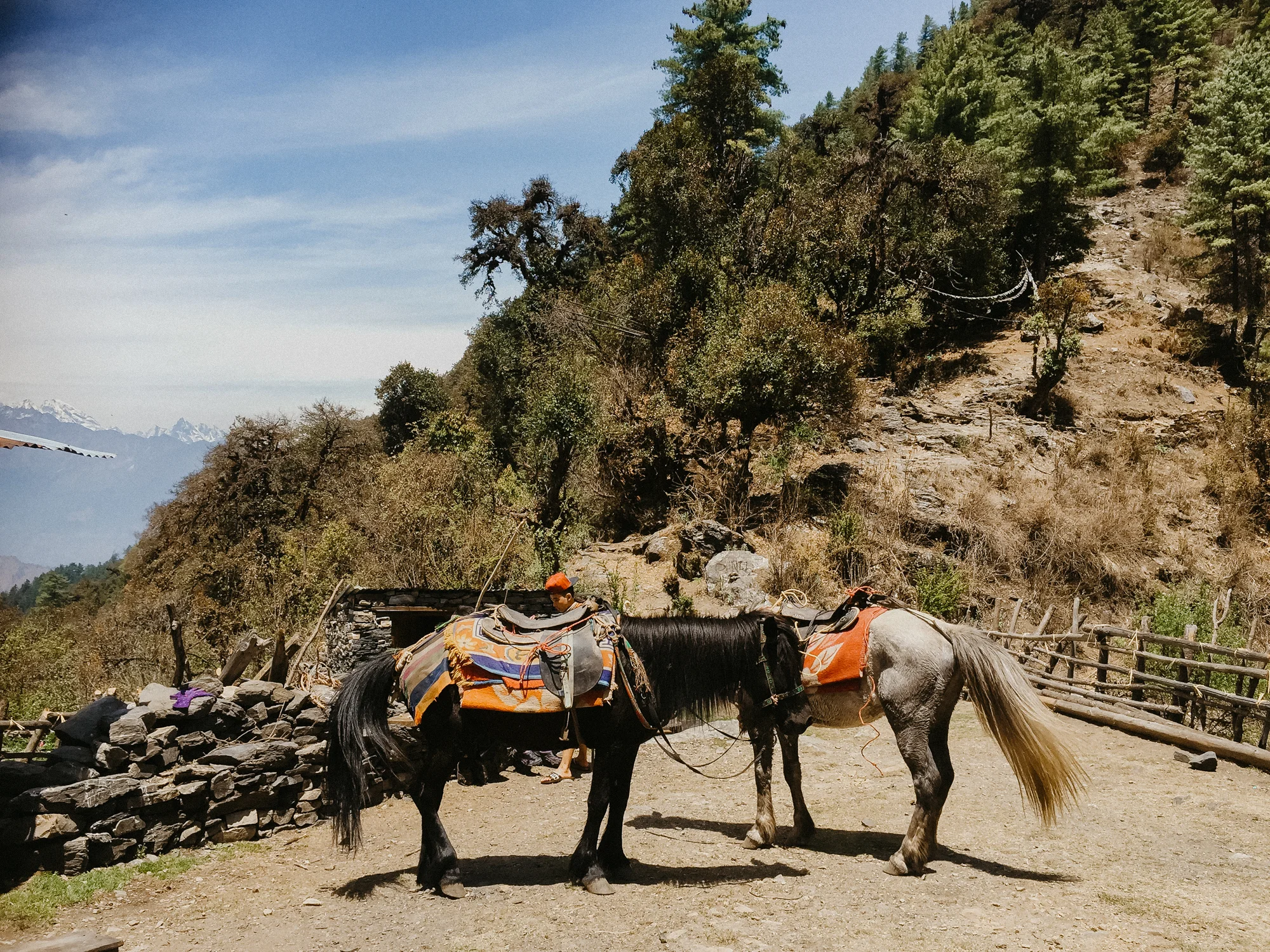 Nepal_JL_-21.jpg