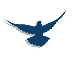 bird.jpg