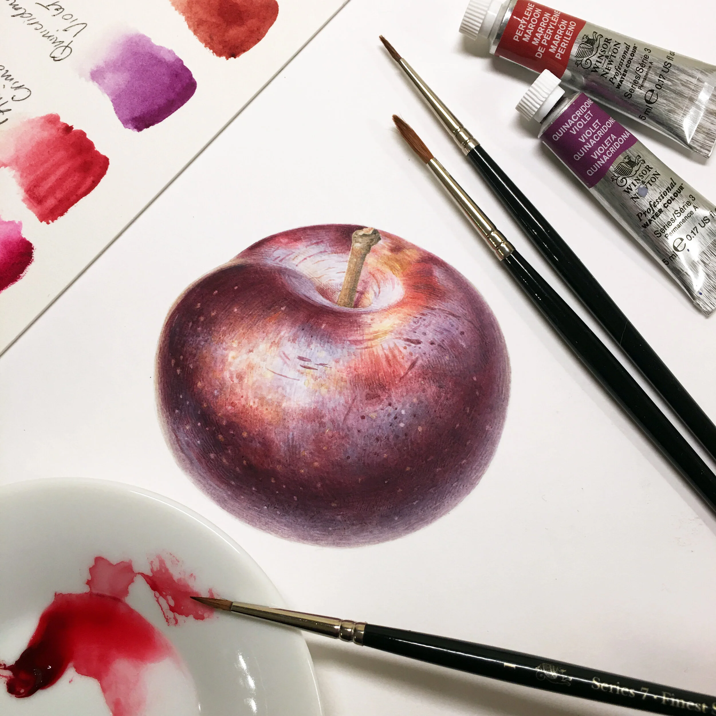 plum from workshop.jpg
