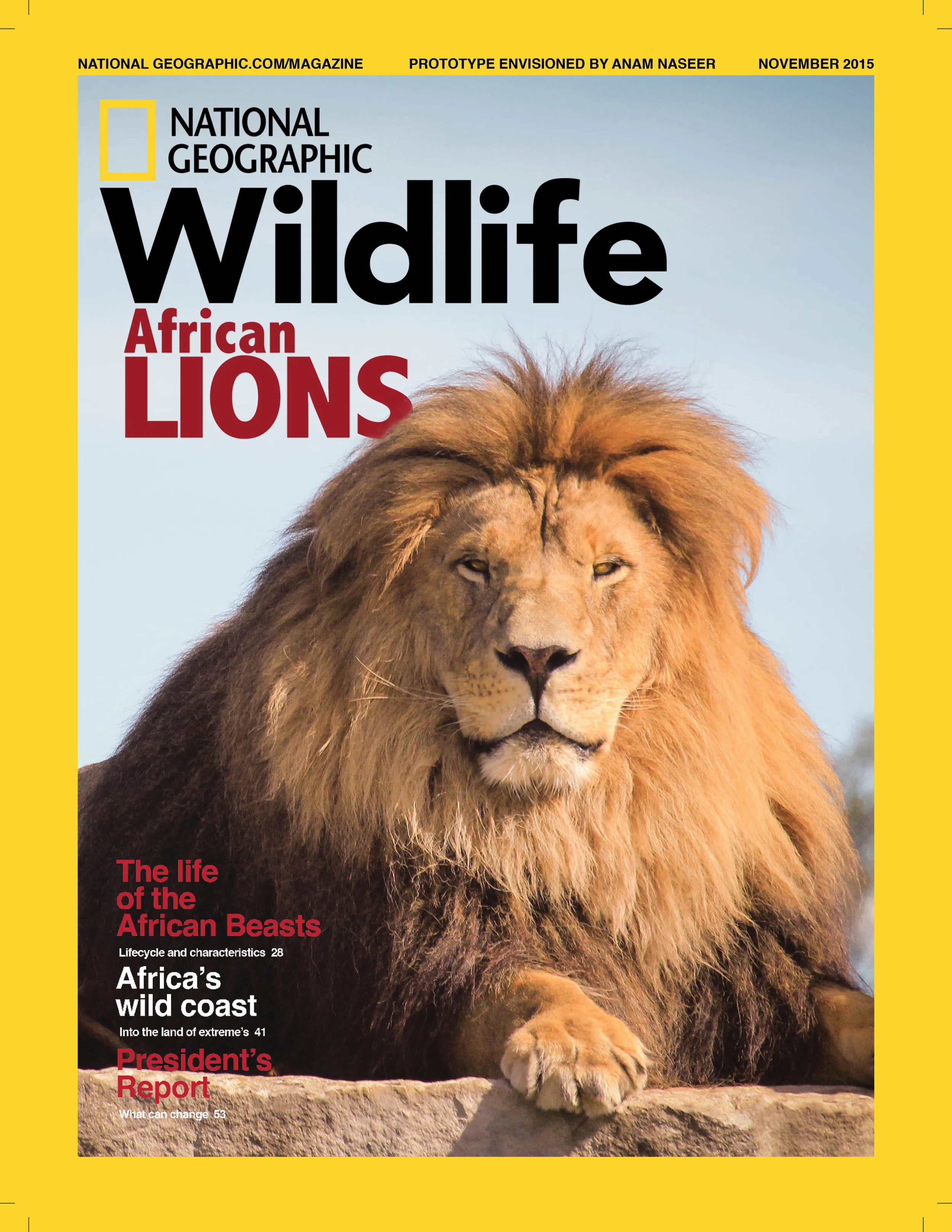 wildlife_lioncoverpage.jpg