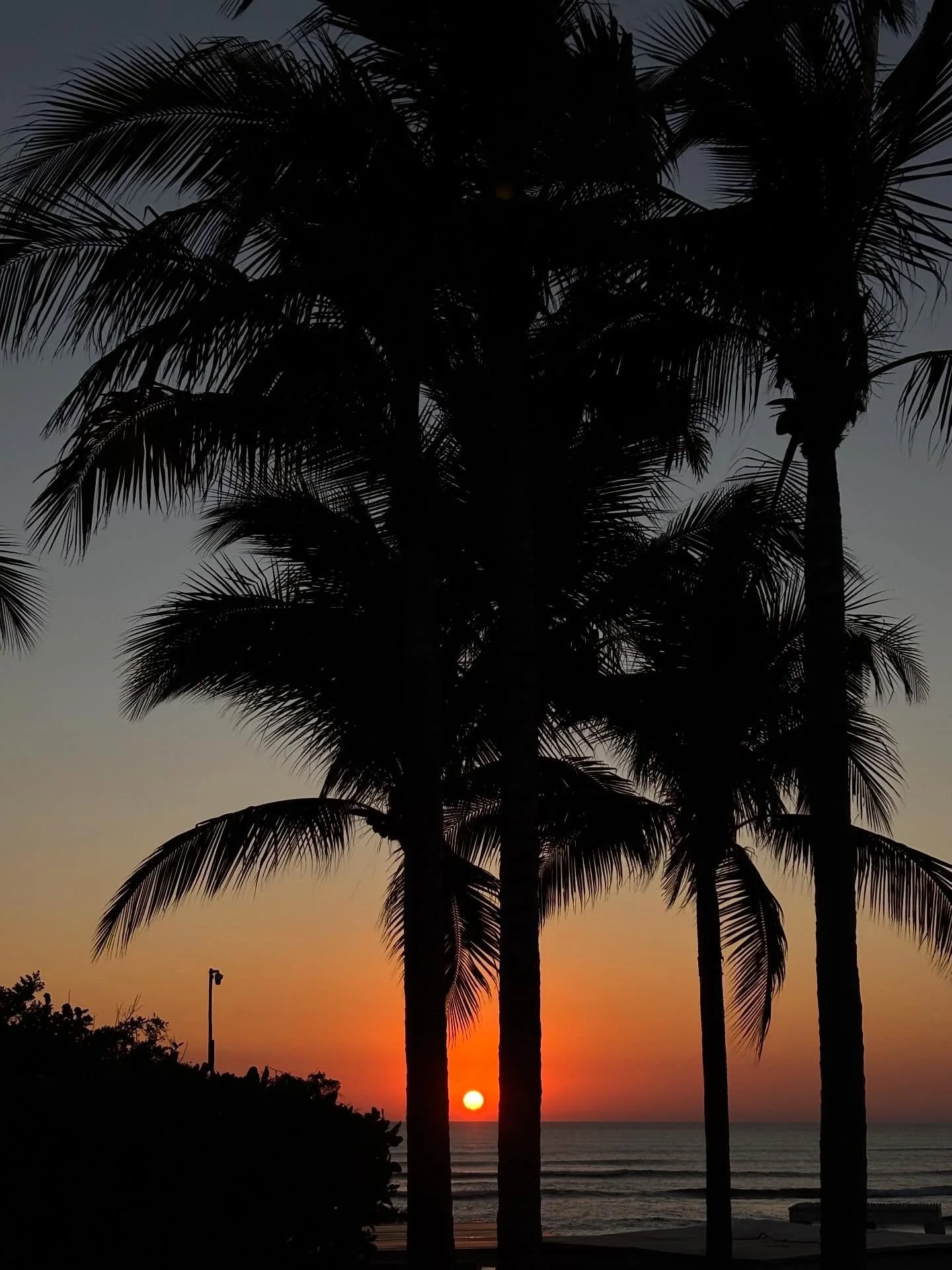 Goodbye Mexico! You were an absolute dream. Thank you @kelleybeaman for being born. Thank you for the way you gather us all together around your table and love us like family. You are one of a kind and we are honored to know you. Until next time. Xx