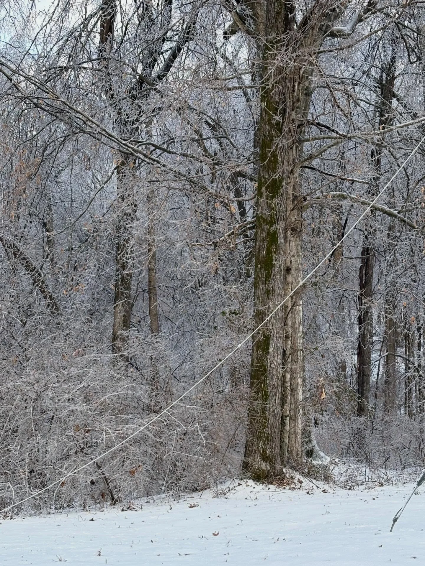 As I sit in my home wrapped in warm clothes and blankets with a blow heater working overtime because of a generator, I am reflecting over the last couple of days. It&rsquo;s been a storm like no other. I have never experienced anything like this in m